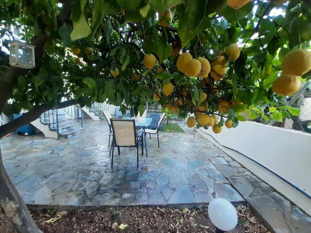 Cozy Apartments Near The Airport Artemida  Esterno foto
